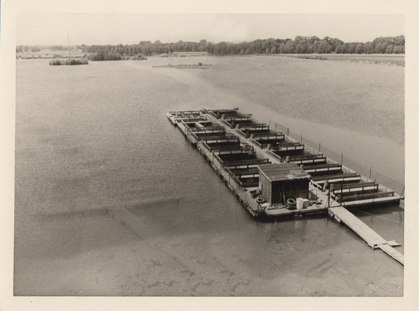 Historische Aufnahme der Fischzucht Moeller um 1960