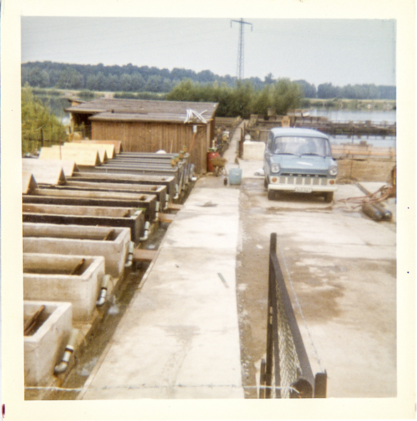 Historische Aufnahme der Fischzucht Moeller um 1960