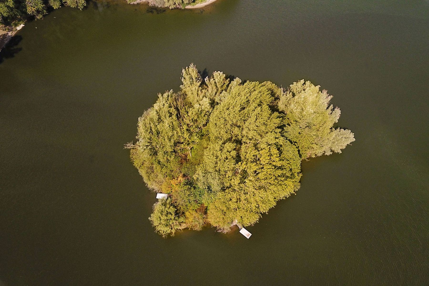 Luftaufnahme der bewaldeten Angel-Insel mitten im See
